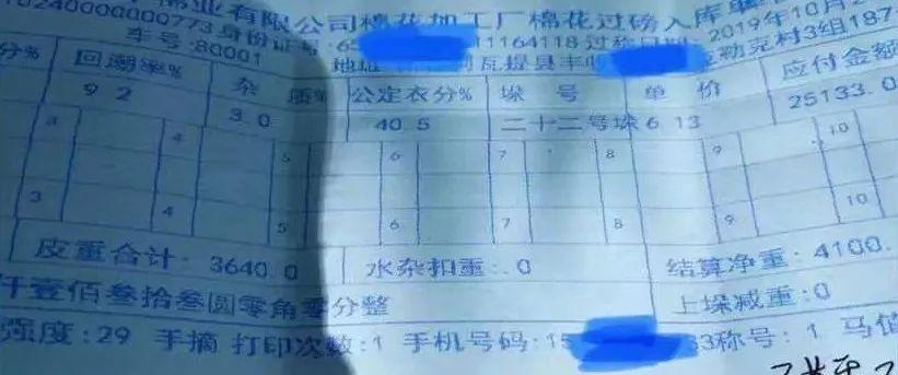 棉价最新