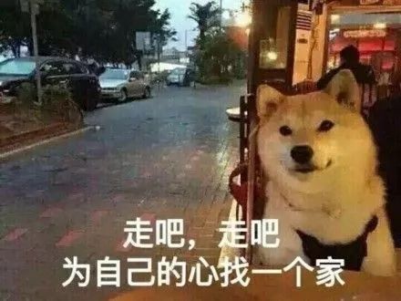 虐狗最新