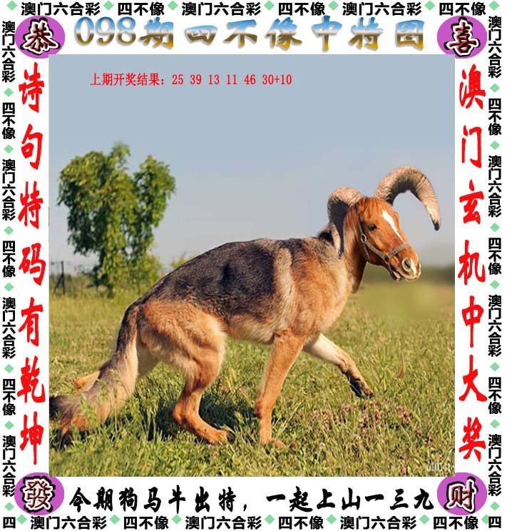 2024-2025新澳今晚资料四不像图|文明解释解析落实