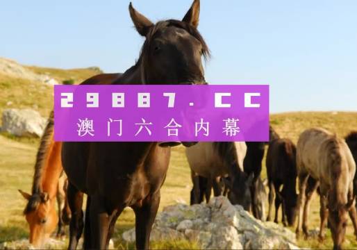 新澳门管家婆一肖一码一中特|精选解析解释落实