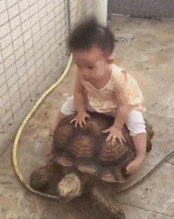 2024-2025年天天彩资料免费大全|精选解析解释落实