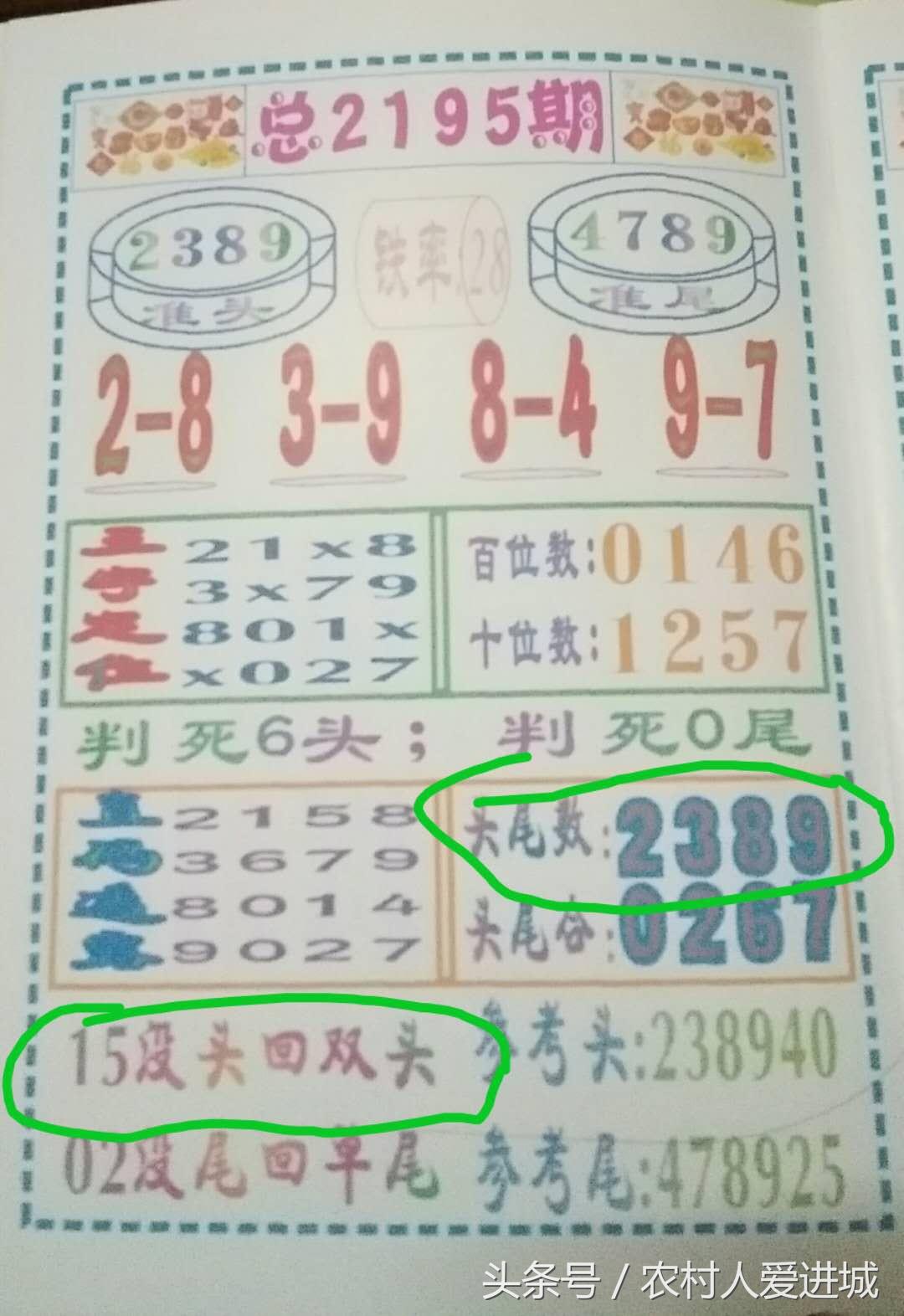 四九图库免费的资料港|实用释义解释落实