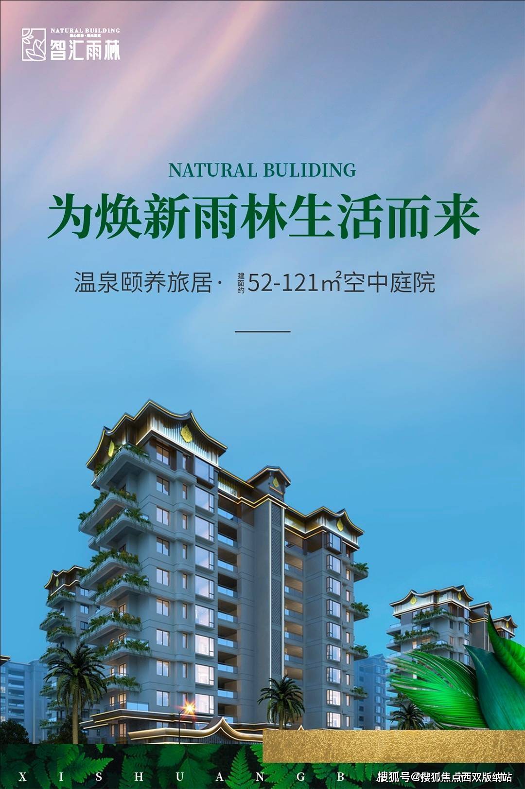 雨林最新